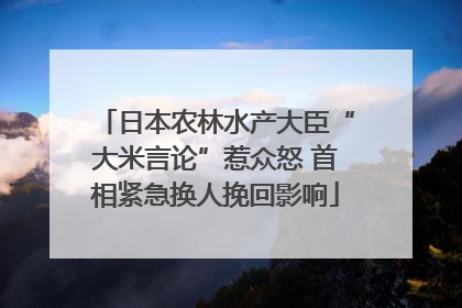 日本农林水产大臣“大米言论”惹众怒 首相紧急换人挽回影响