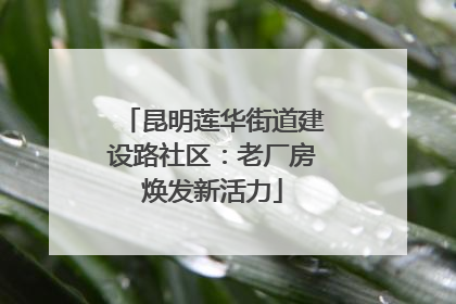 昆明莲华街道建设路社区：老厂房焕发新活力