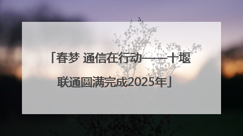 春梦 通信在行动——十堰联通圆满完成2025年