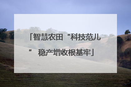 智慧农田“科技范儿” 稳产增收根基牢