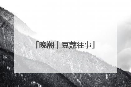 晚潮｜豆蔻往事