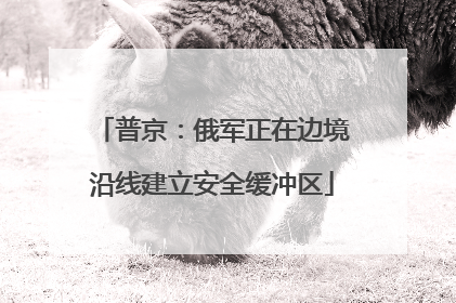 普京：俄军正在边境沿线建立安全缓冲区
