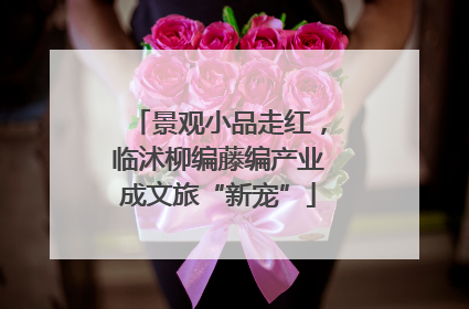 景观小品走红，临沭柳编藤编产业成文旅“新宠”