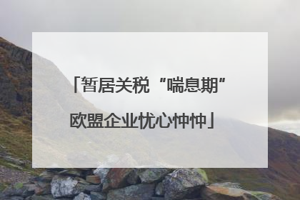 暂居关税“喘息期” 欧盟企业忧心忡忡