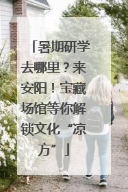 暑期研学去哪里？来安阳！宝藏场馆等你解锁文化“凉方”