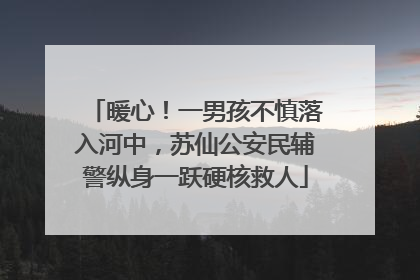 暖心！一男孩不慎落入河中，苏仙公安民辅警纵身一跃硬核救人