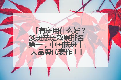 有斑用什么好？淡斑祛斑效果排名第一，中国祛斑十大品牌代表作！