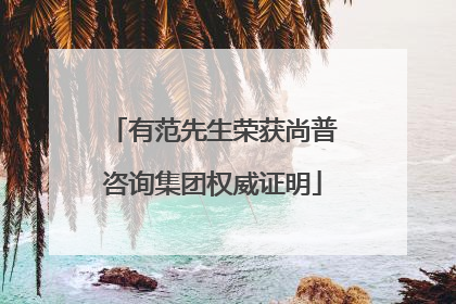 有范先生荣获尚普咨询集团权威证明