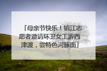 母亲节快乐！镇江志愿者邀请环卫女工游西津渡，尝特色河豚面