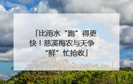 比雨水“跑”得更快！慈溪梅农与天争“鲜”忙抢收