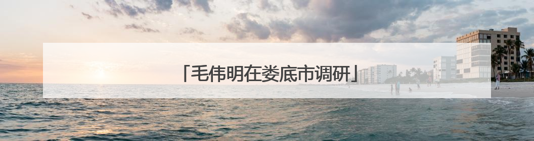 毛伟明在娄底市调研