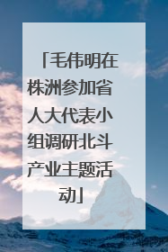 毛伟明在株洲参加省人大代表小组调研北斗产业主题活动