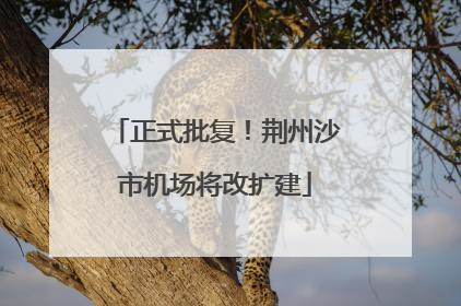 正式批复！荆州沙市机场将改扩建