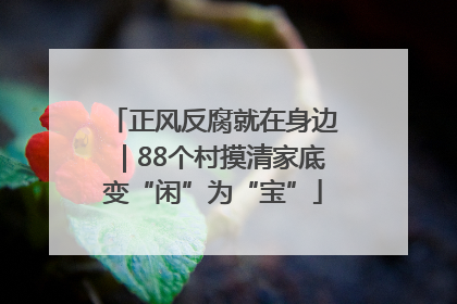 正风反腐就在身边｜88个村摸清家底变“闲”为“宝”