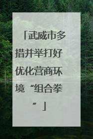 武威市多措并举打好优化营商环境“组合拳”