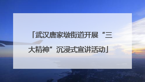 武汉唐家墩街道开展“三大精神”沉浸式宣讲活动