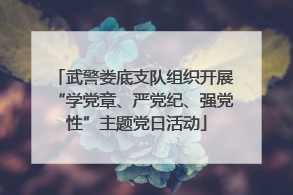武警娄底支队组织开展“学党章、严党纪、强党性”主题党日活动