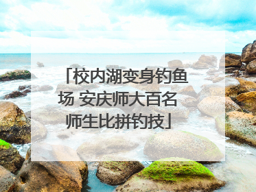 校内湖变身钓鱼场 安庆师大百名师生比拼钓技