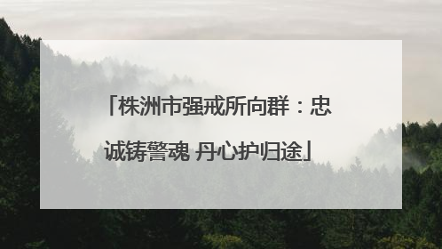 株洲市强戒所向群：忠诚铸警魂 丹心护归途