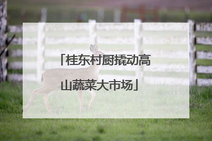 桂东村厨撬动高山蔬菜大市场