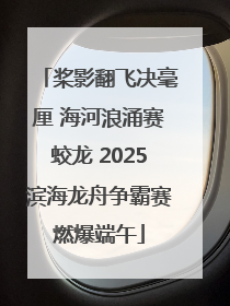 桨影翻飞决毫厘 海河浪涌赛蛟龙 2025滨海龙舟争霸赛燃爆端午