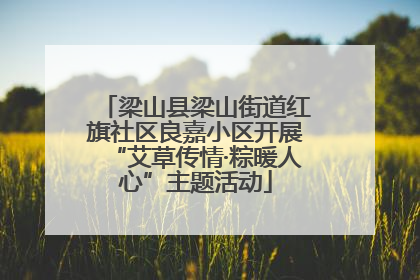 梁山县梁山街道红旗社区良嘉小区开展“艾草传情·粽暖人心”主题活动
