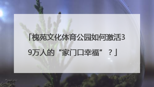 槐苑文化体育公园如何激活39万人的“家门口幸福”？