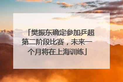 樊振东确定参加乒超第二阶段比赛，未来一个月将在上海训练