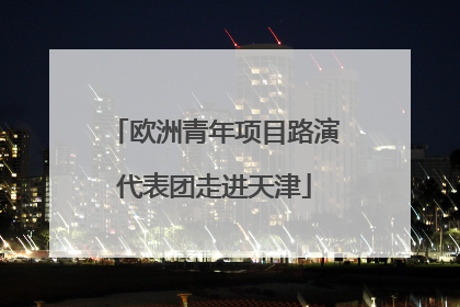 欧洲青年项目路演代表团走进天津