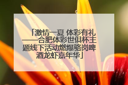 激情一夏 体彩有礼——合肥体彩世俱杯主题线下活动燃爆骆岗啤酒龙虾嘉年华