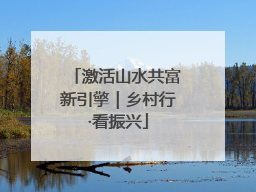 激活山水共富新引擎｜乡村行·看振兴