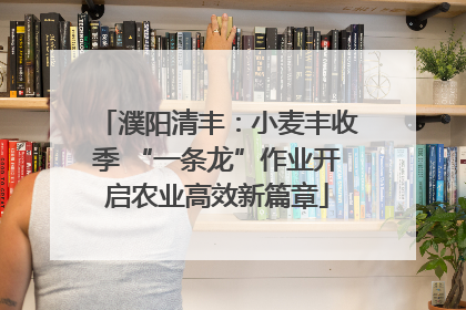 濮阳清丰：小麦丰收季 “一条龙”作业开启农业高效新篇章