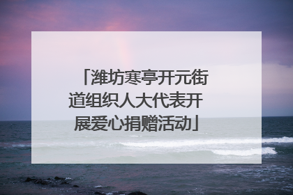 潍坊寒亭开元街道组织人大代表开展爱心捐赠活动