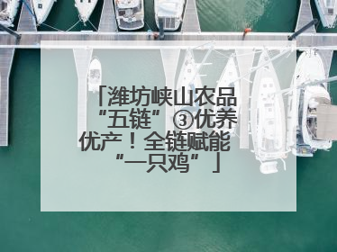 潍坊峡山农品“五链”③优养优产！全链赋能“一只鸡”