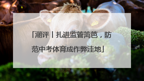 潮评丨扎进监管篱笆，防范中考体育成作弊洼地