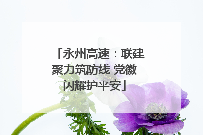 永州高速：联建聚力筑防线 党徽闪耀护平安