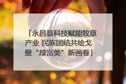 永昌县科技赋能牧草产业 民族团结共绘戈壁“绿富美”新画卷