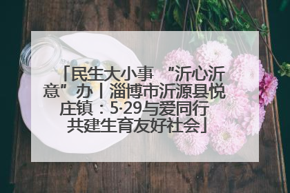 民生大小事 “沂心沂意”办丨淄博市沂源县悦庄镇：5·29与爱同行 共建生育友好社会