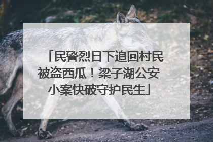民警烈日下追回村民被盗西瓜！梁子湖公安小案快破守护民生