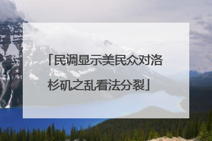 民调显示美民众对洛杉矶之乱看法分裂