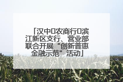 汉中‬农商行‬滨江新区支行、营业部联合开展“创新普惠金融示范”活动
