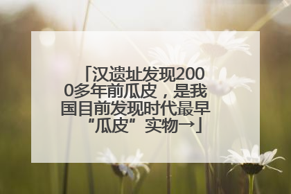 汉遗址发现2000多年前瓜皮，是我国目前发现时代最早“瓜皮”实物→