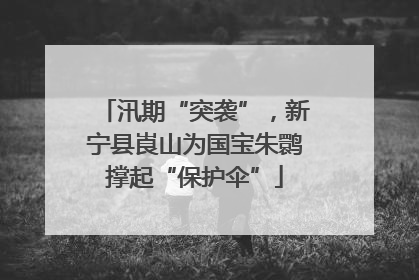 汛期“突袭”，新宁县崀山为国宝朱鹮撑起“保护伞”