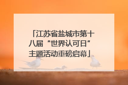 江苏省盐城市第十八届“世界认可日”主题活动重磅启幕