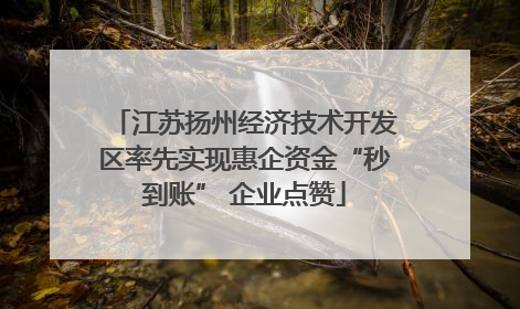 江苏扬州经济技术开发区率先实现惠企资金“秒到账” 企业点赞