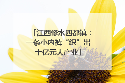 江西修水四都镇：一条小内裤“织”出十亿元大产业