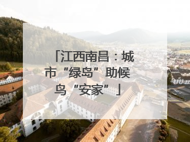 江西南昌：城市“绿岛”助候鸟“安家”