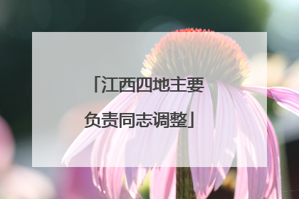 江西四地主要负责同志调整