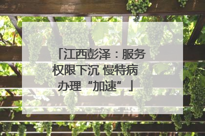 江西彭泽：服务权限下沉 慢特病办理“加速”