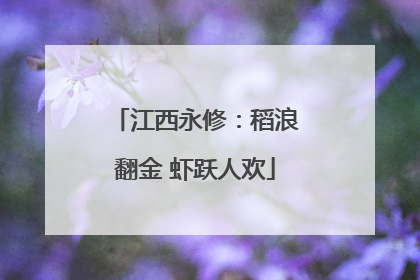 江西永修：稻浪翻金 虾跃人欢